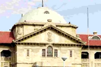 Allahabad HC Expresses Concern over Mushrooming of Fake Job Agencies That Prey on Unemployed Youth